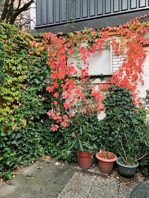 Foto 48 van Narcissenstraat 51