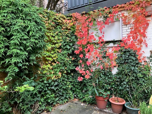 Foto 49 van Narcissenstraat 51