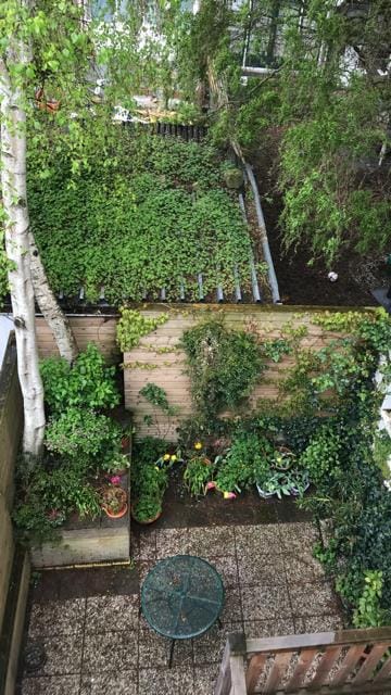 Foto 50 van Narcissenstraat 51