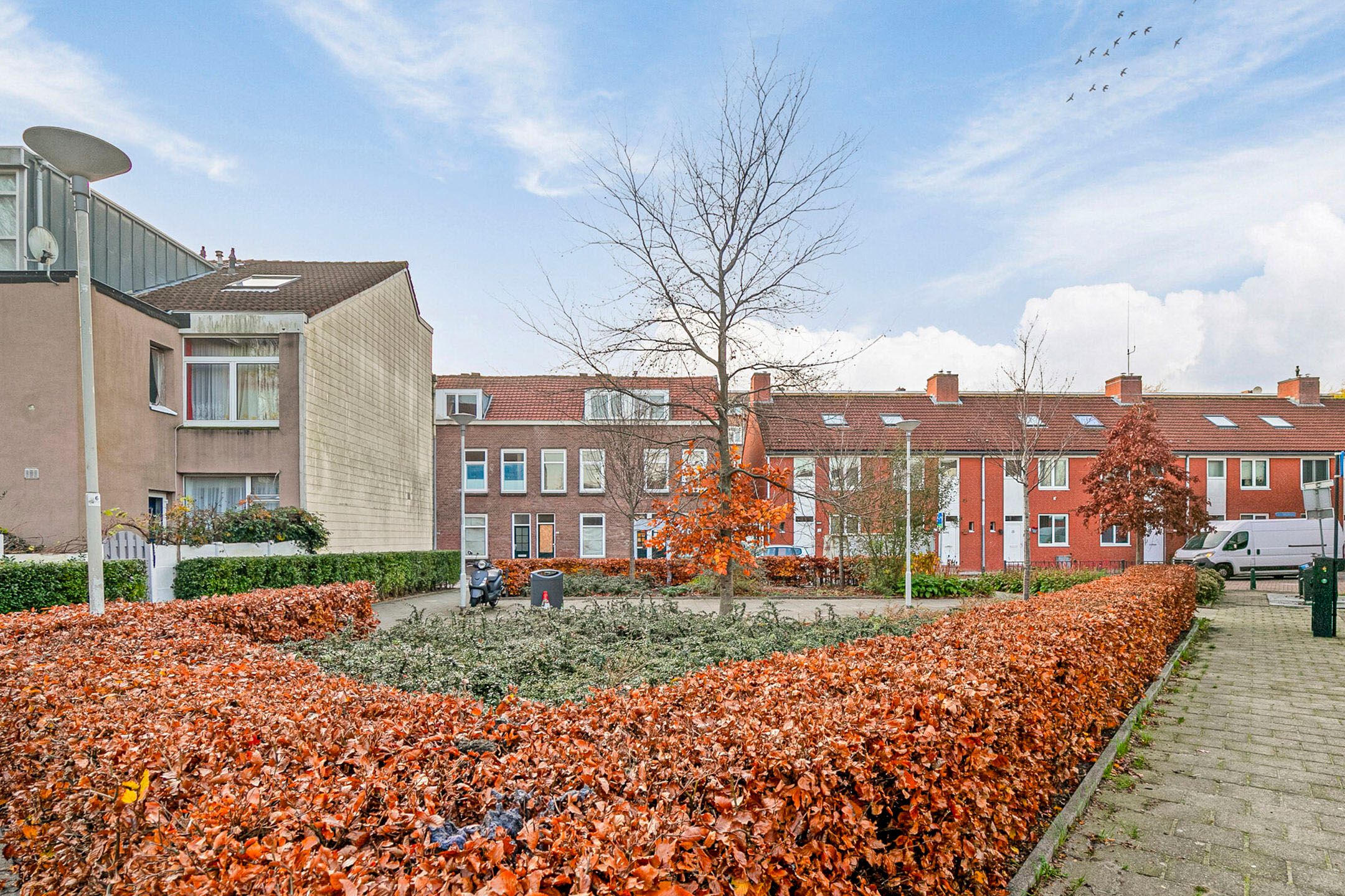 Foto 51 van Narcissenstraat 51