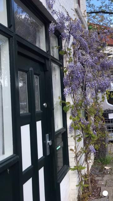 Foto 55 van Narcissenstraat 51