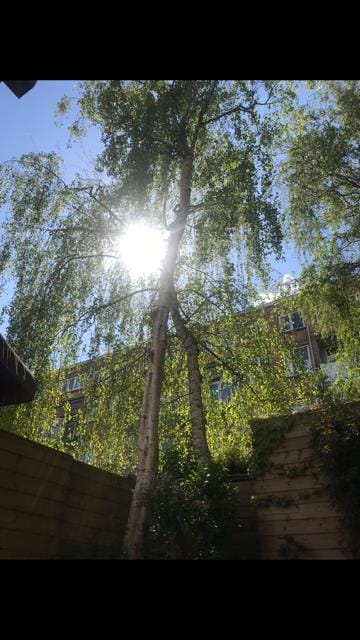 Foto 58 van Narcissenstraat 51