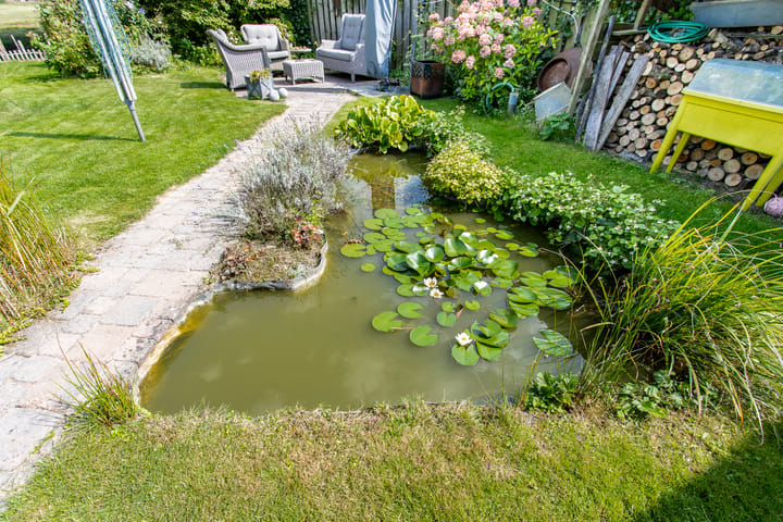 Foto 51 van De Fazant 17