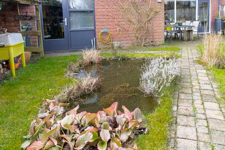 Foto 52 van De Fazant 17