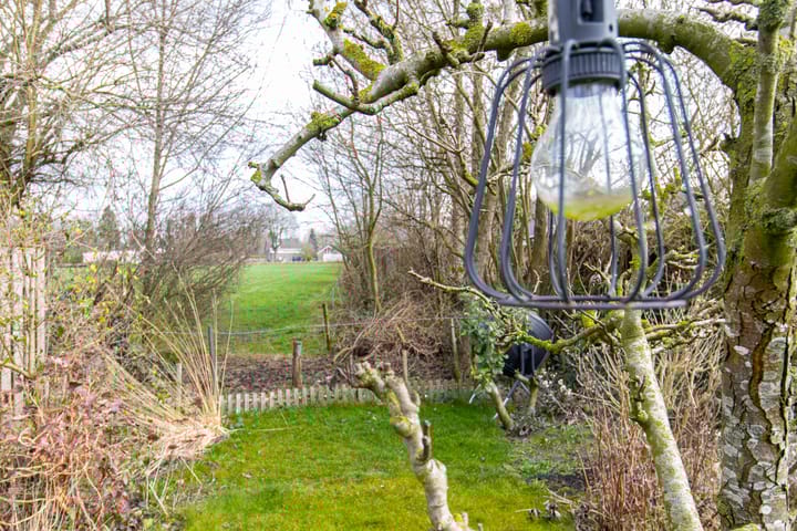 Foto 60 van De Fazant 17