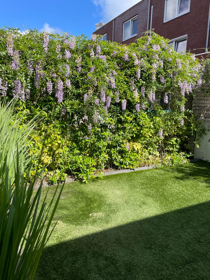 Foto 26 van Rijnlandstraat 24