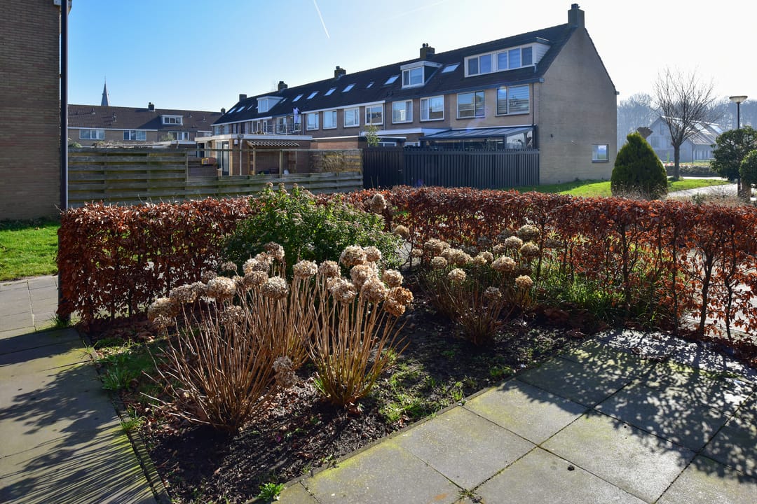 Foto 2 van Rembrandt van Rijnhof 9