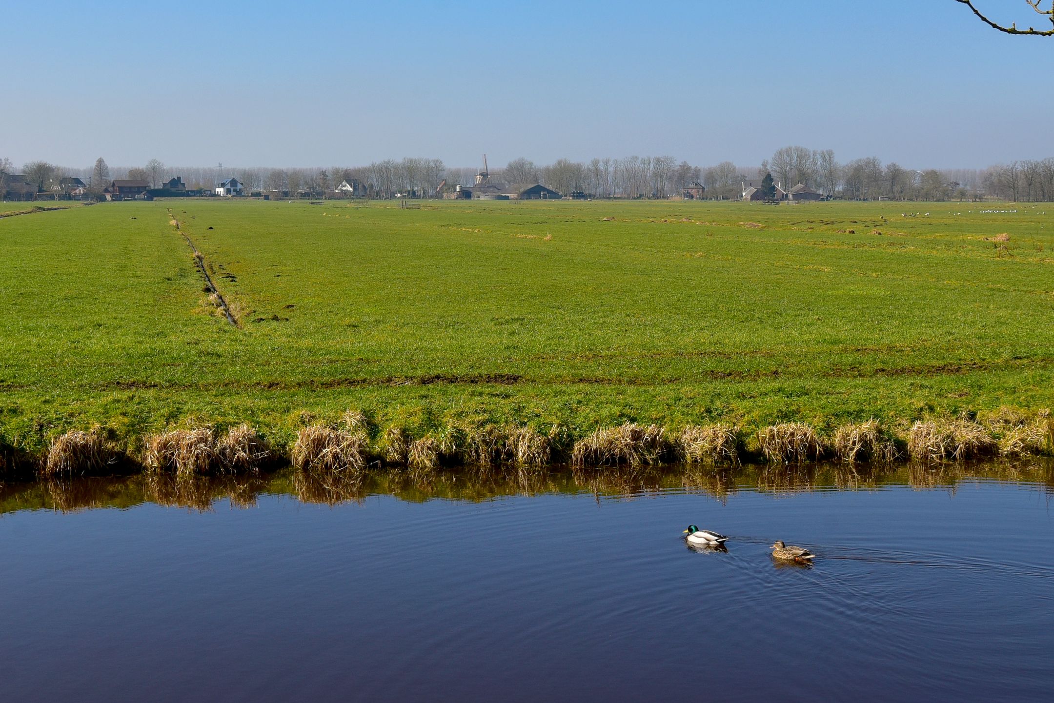 Foto 30 van Rembrandt van Rijnhof 9