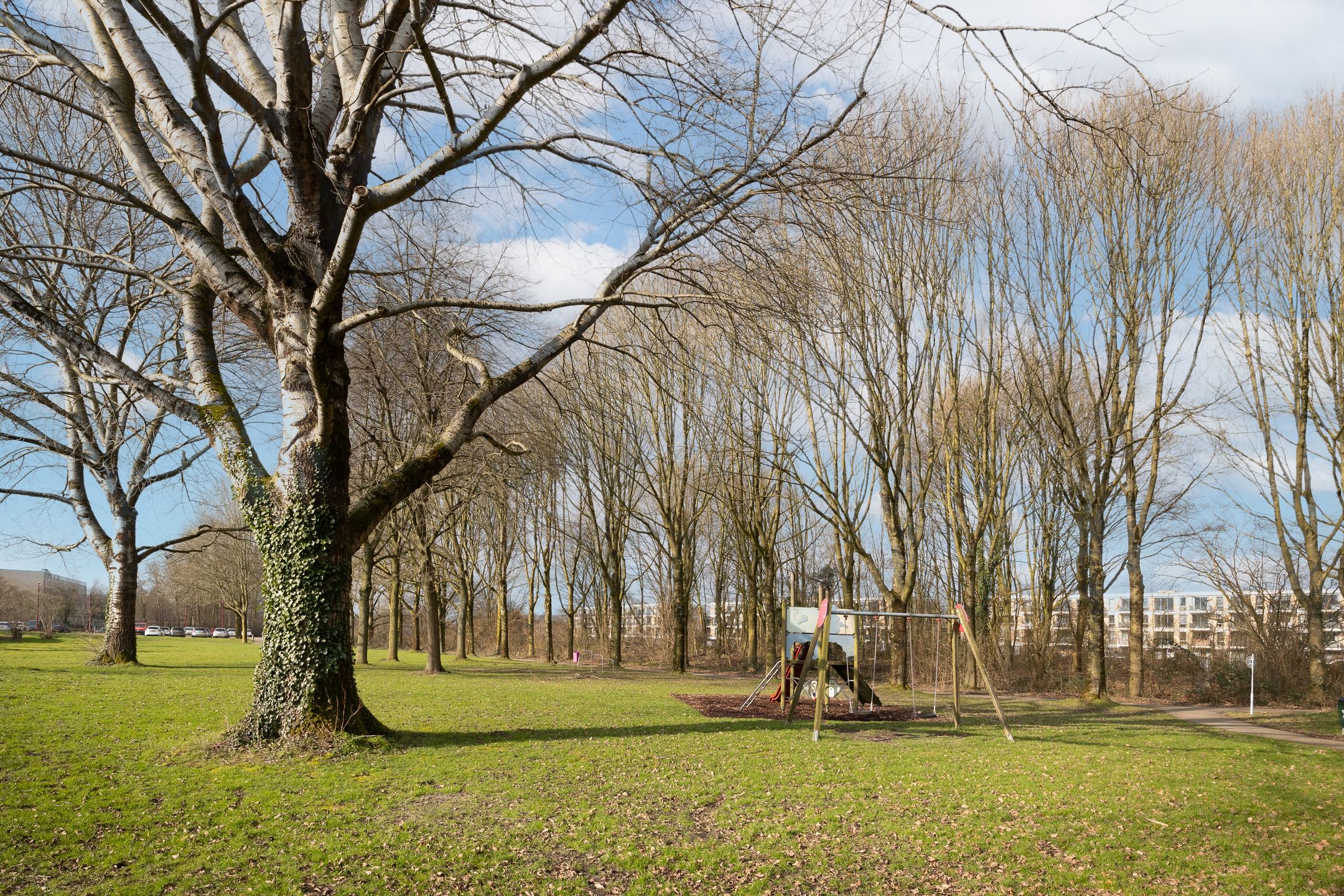 Photo 48 of Harmonielaan 61