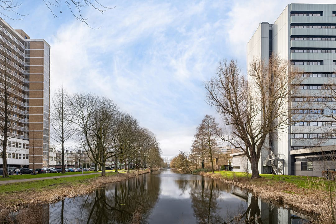 Photo 28 of Mensinge 54