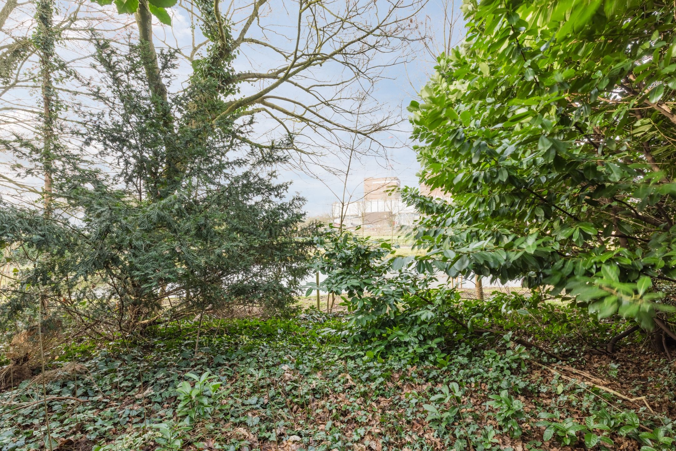 Foto 33 van Steenakkerstraat 9