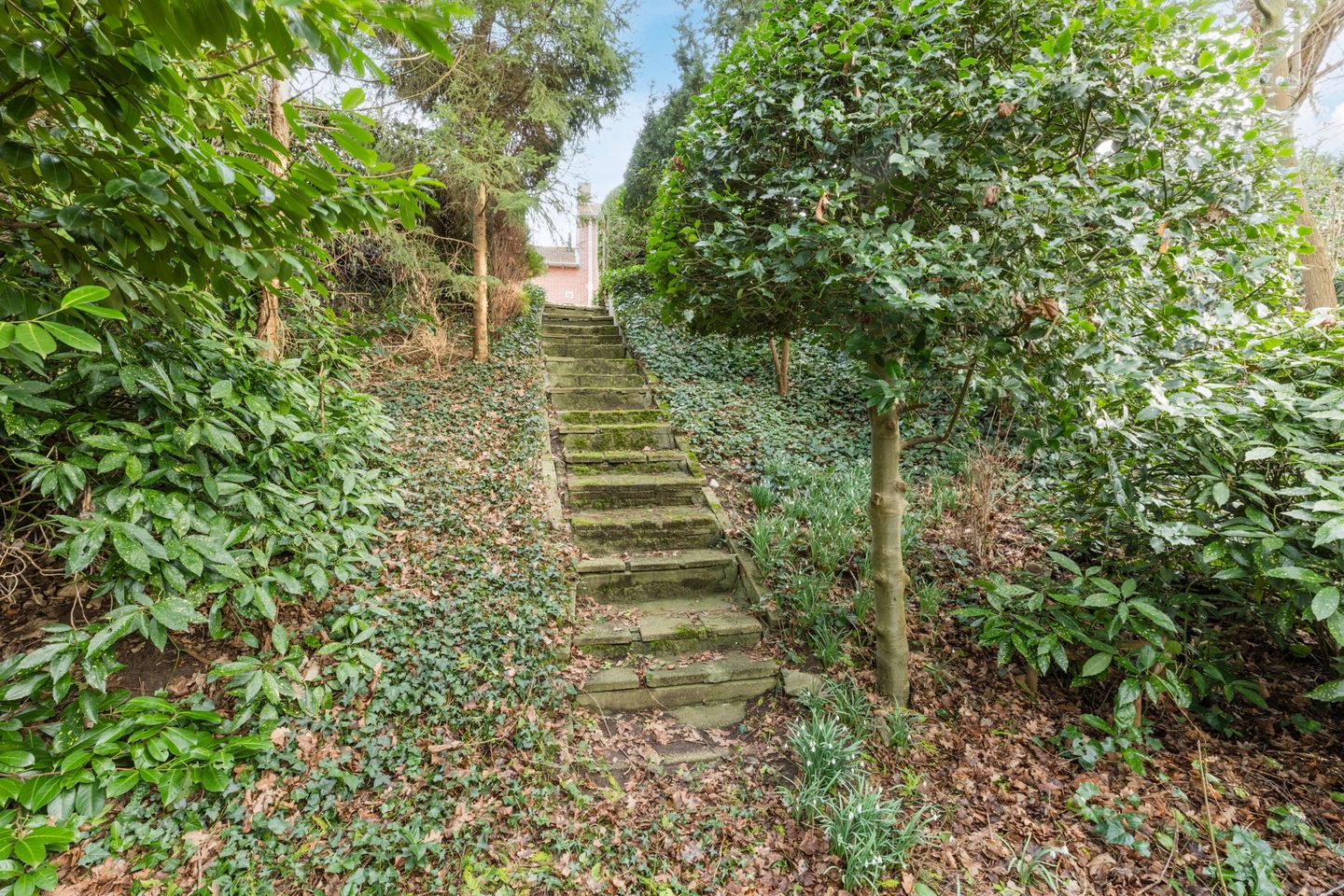 Foto 34 van Steenakkerstraat 9