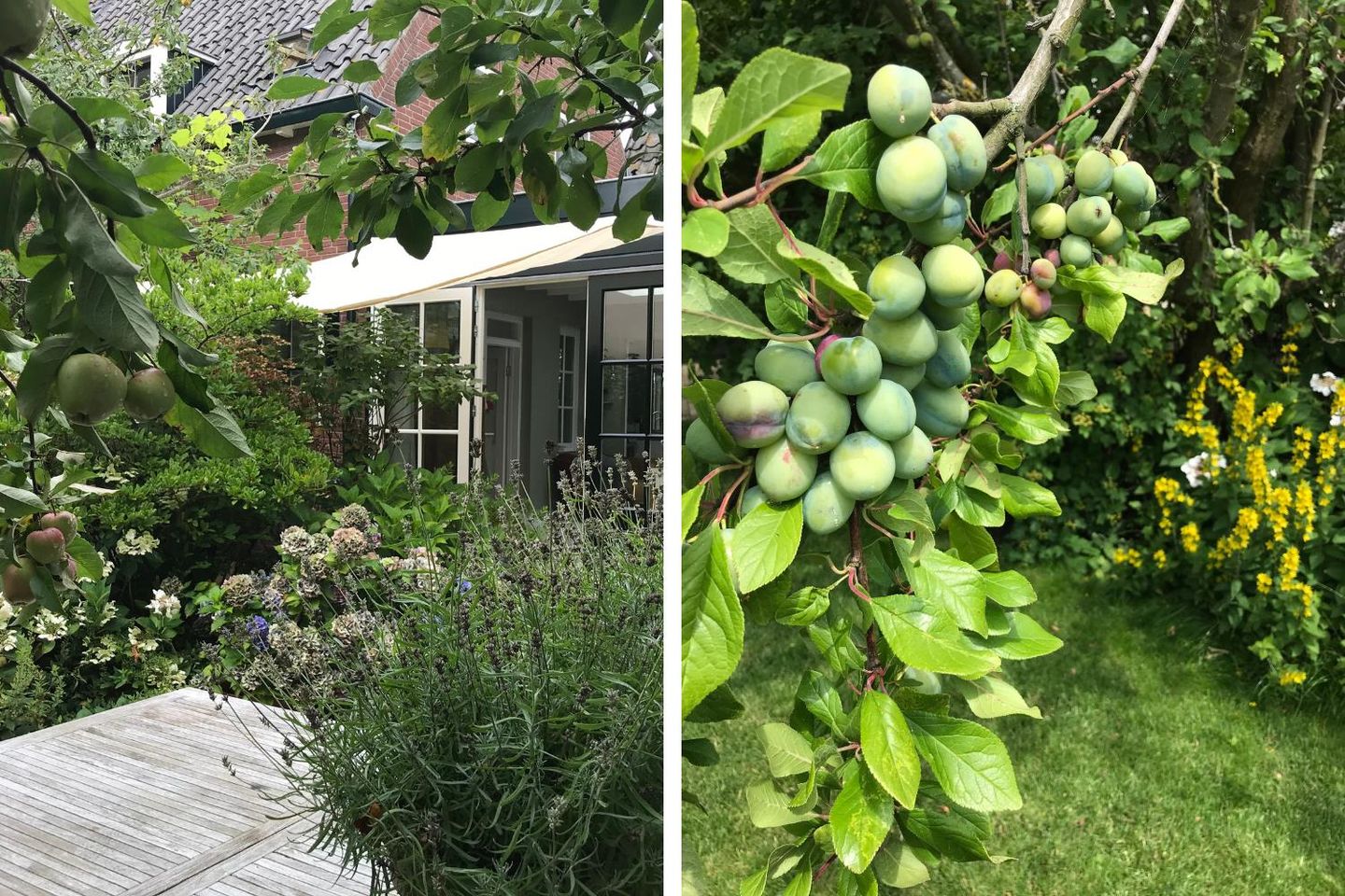 Photo 10 of Zuideinde 11