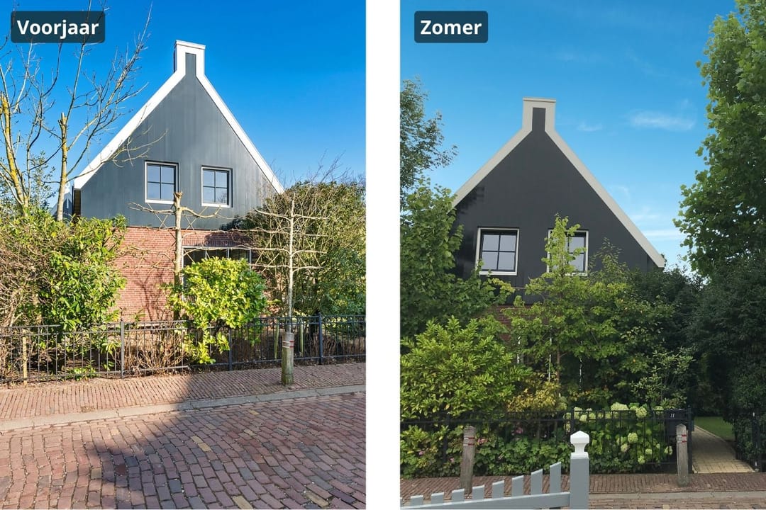 Photo 47 of Zuideinde 11