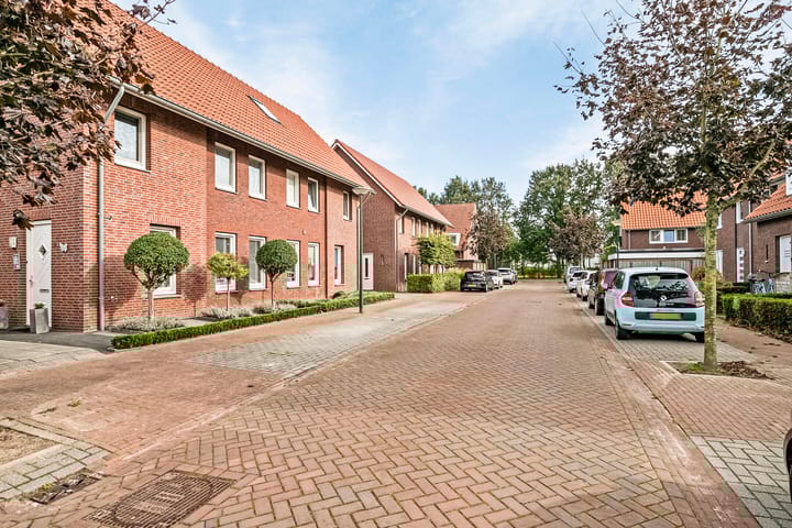 Foto 2 van Pastinaak 8