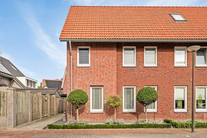 Foto 3 van Pastinaak 8