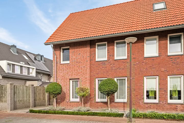 Foto 4 van Pastinaak 8