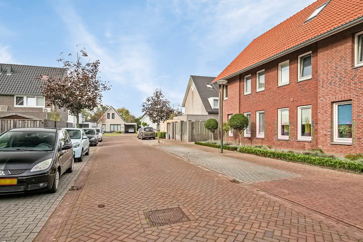 Foto 5 van Pastinaak 8