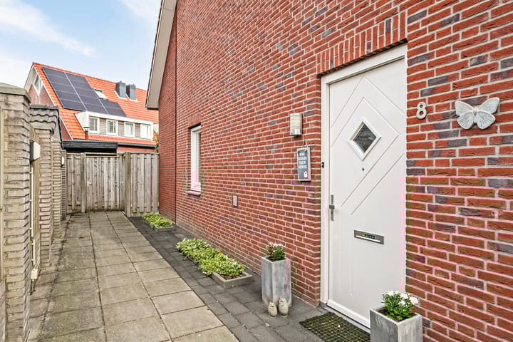 Foto 6 van Pastinaak 8