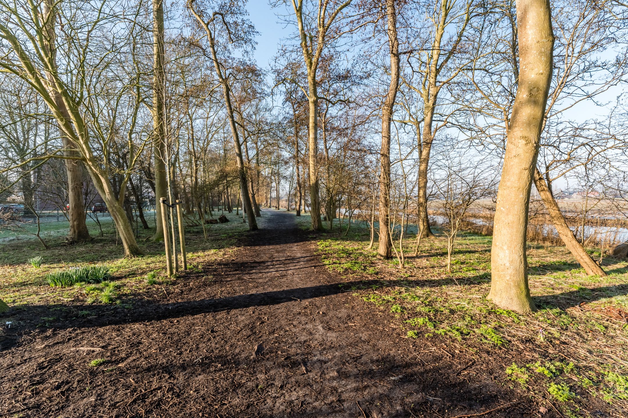 Foto 36 van Friezenhorst 21-C