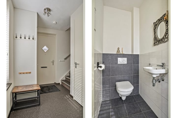 Foto 15 van Pastinaak 8