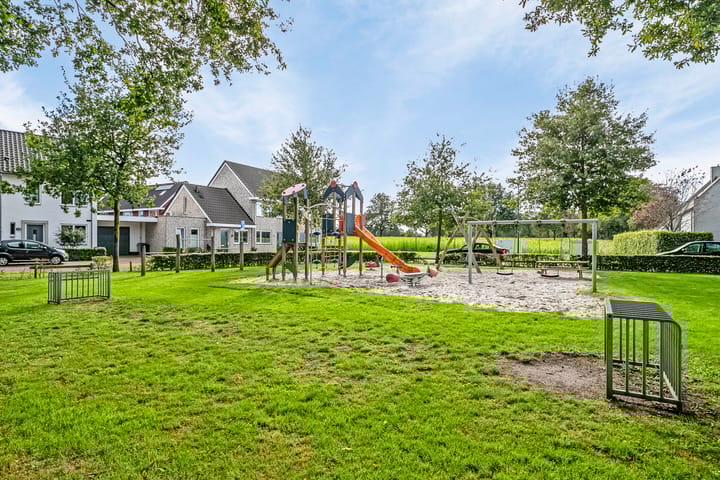 Foto 44 van Pastinaak 8