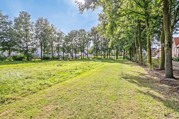 Foto 48 van Pastinaak 8