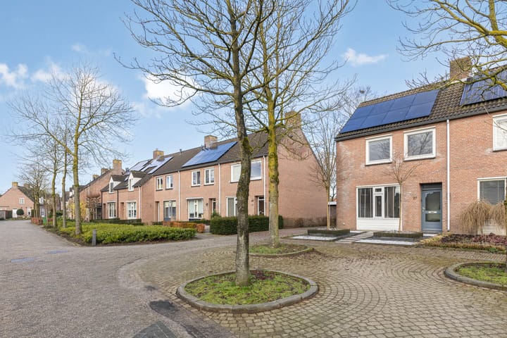 Foto 7 van Calluna 27