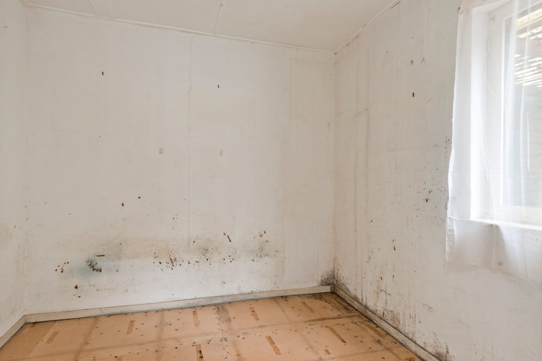 Foto 16 van Geelkerkenkamp 7