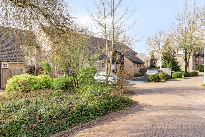 Foto 37 van Slangenburg 4