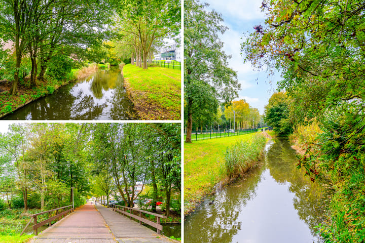 Photo 25 of Boogschutter 22