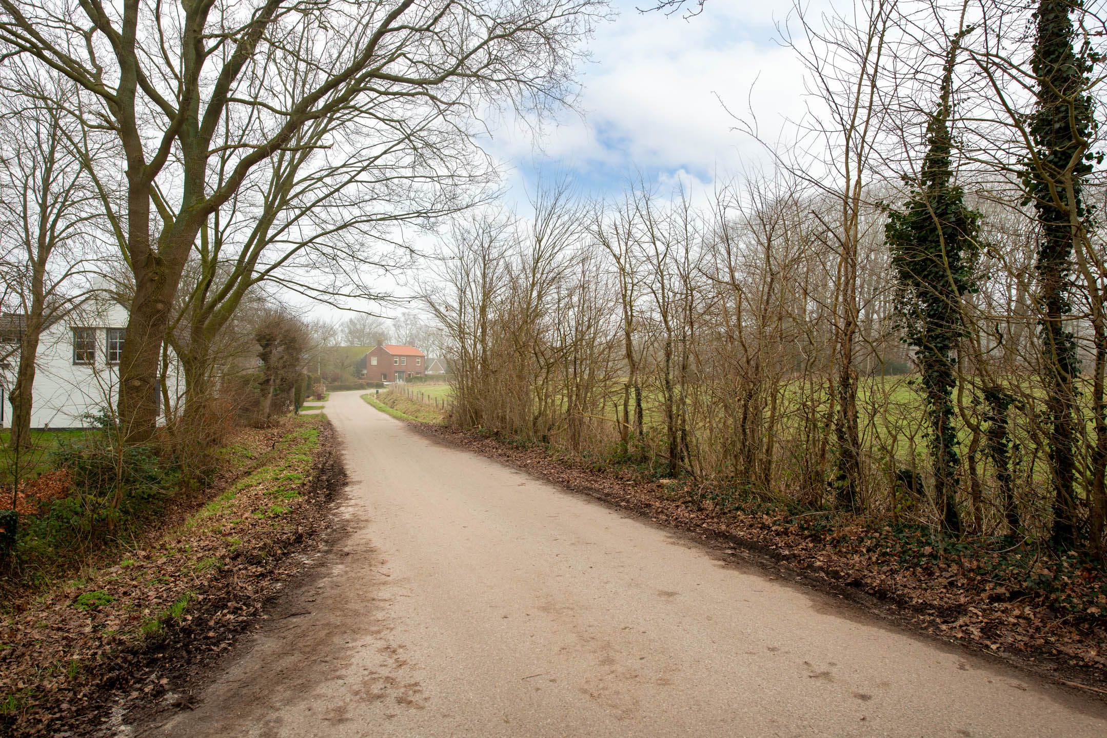 Photo 21 of Beukendreef 14