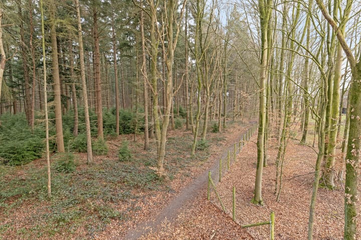 Foto 30 van Valtherweg 36-424