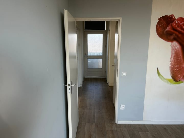 Foto 14 van Sint Hubertus 552