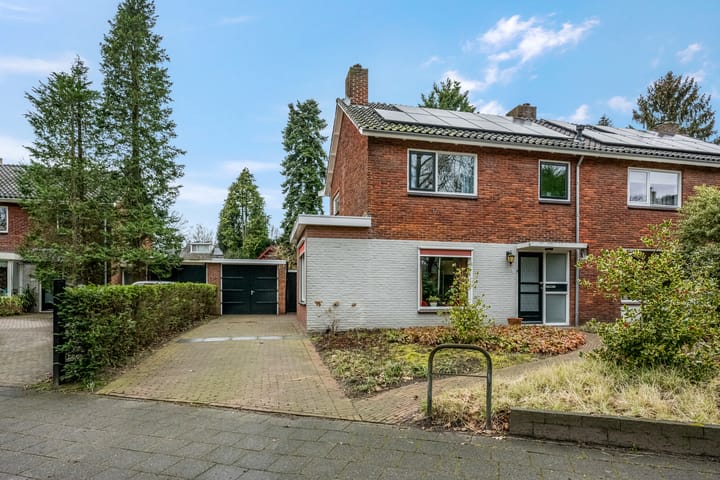 Foto 46 van Anna van Burenlaan 8