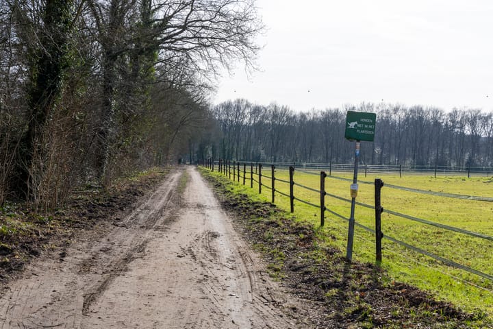 Foto 40 van Randweg 14