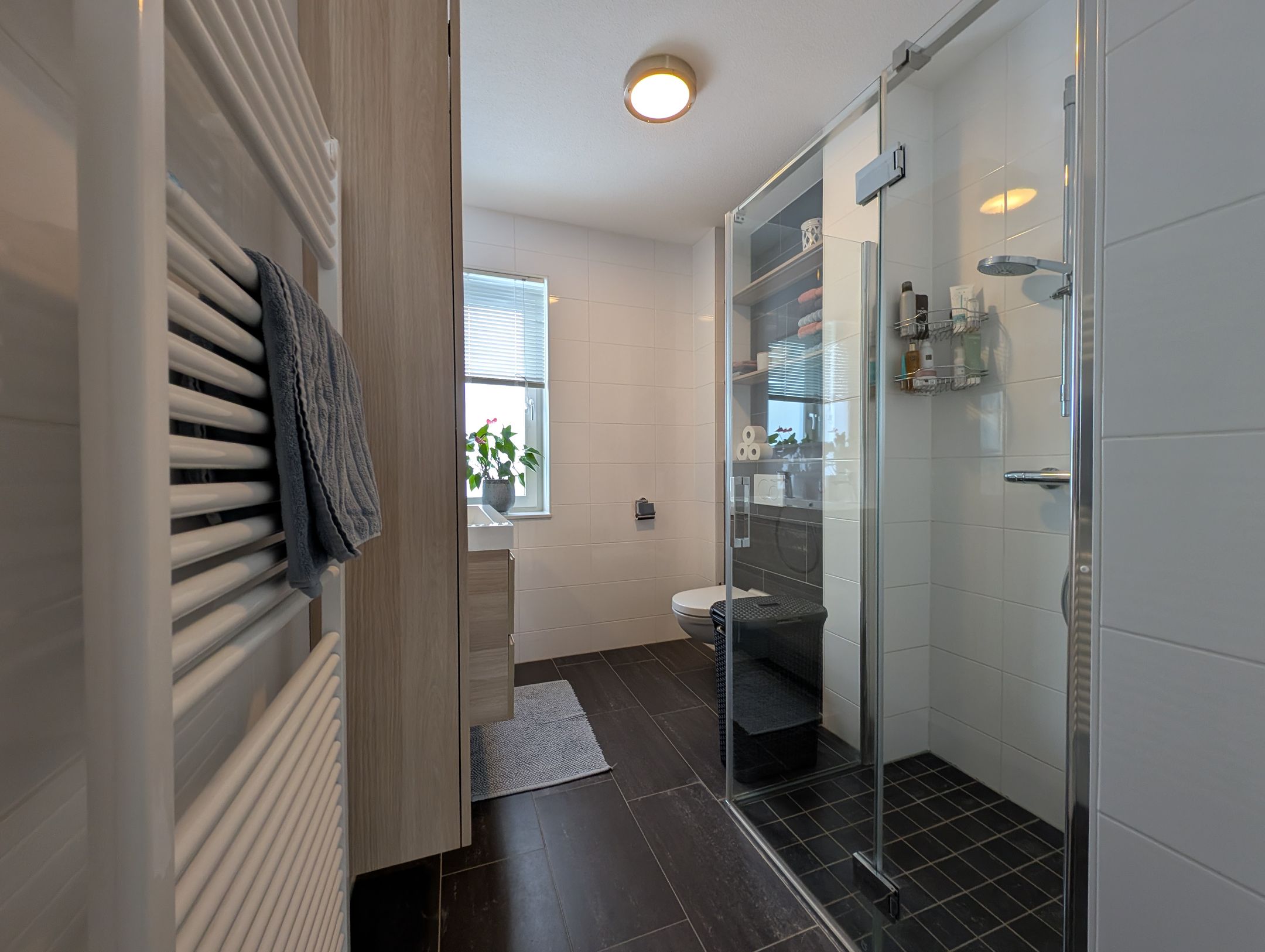 Foto 3 van Zomertaling 4