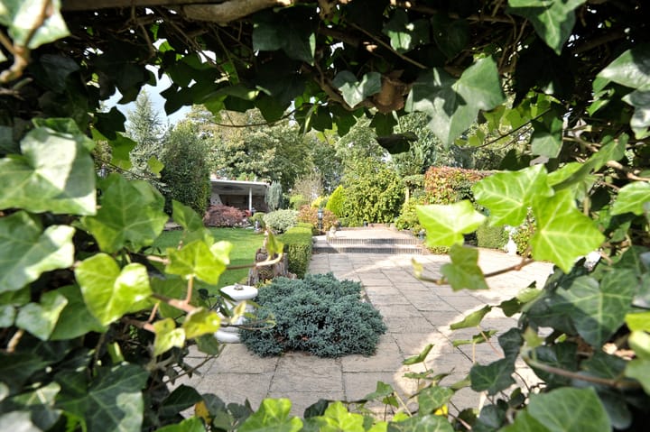 Foto 57 van Langewijk 360