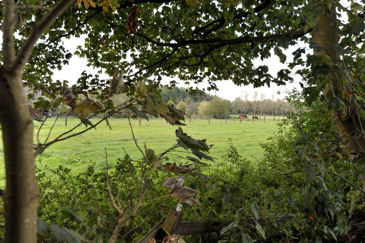 Foto 68 van Langewijk 360