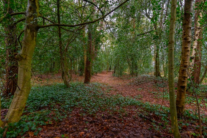 Photo 55 of Drieklinken 87