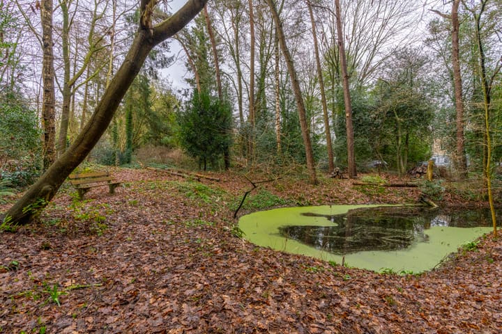 Photo 56 of Drieklinken 87