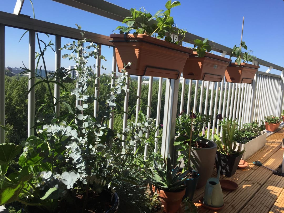 Photo 16 of Weerdestein 175