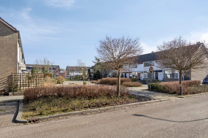 Foto 13 van Zigzagoven 89