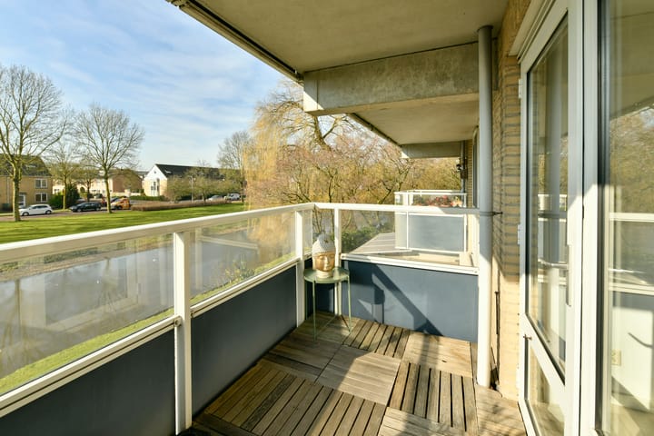 Photo 10 of Rosa Spierlaan 334