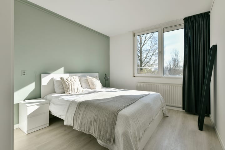 Photo 11 of Rosa Spierlaan 334