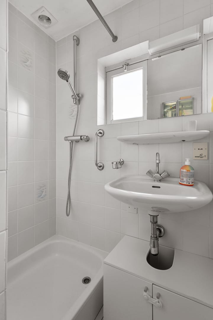 Foto 21 van Jan Steenlaan 9