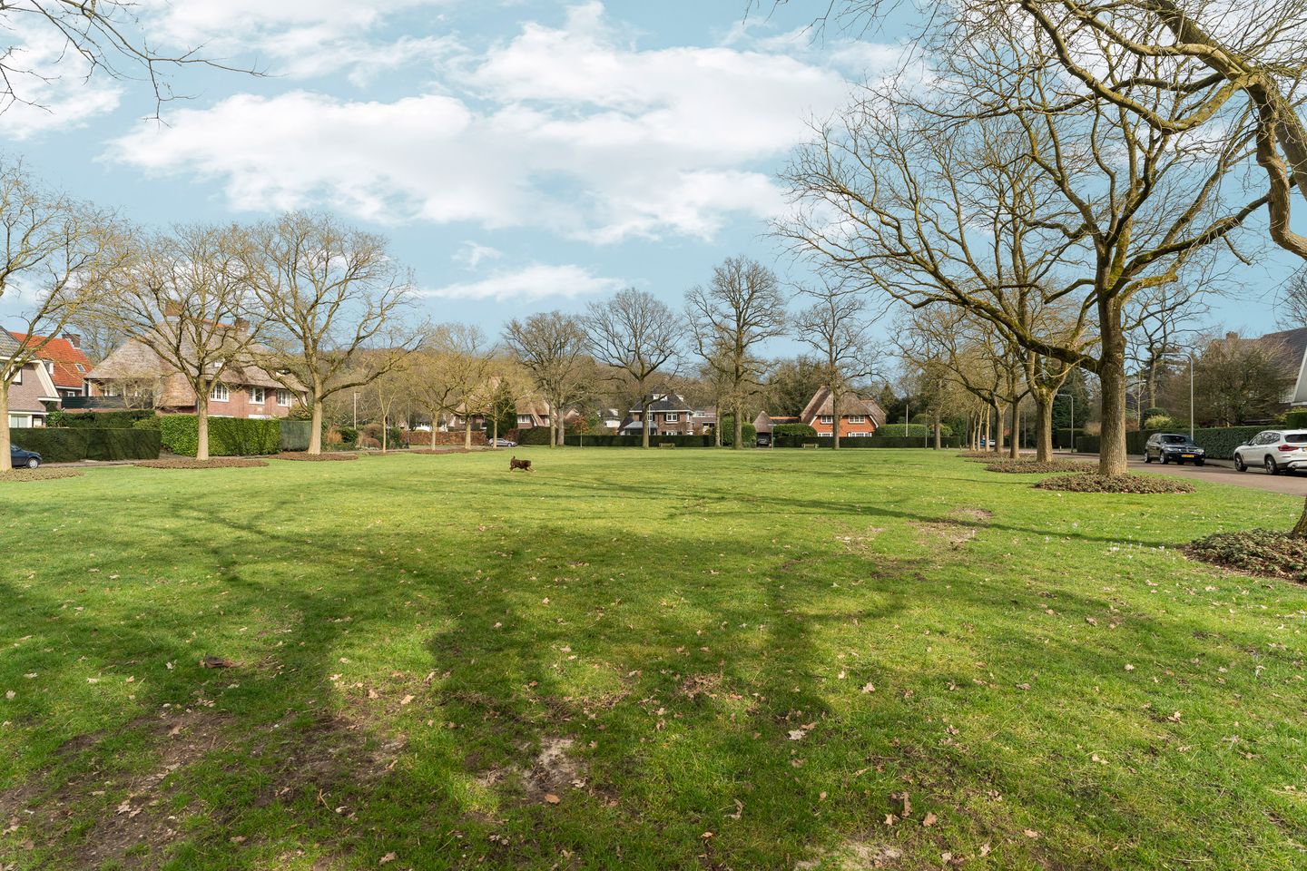 Foto 34 van Jan Steenlaan 9