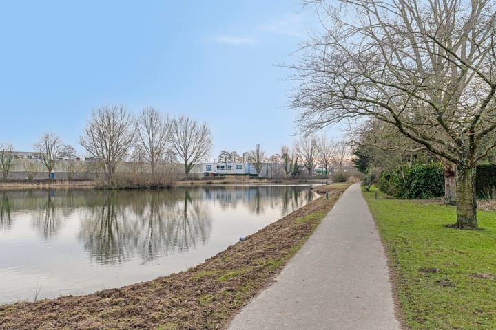 Foto 29 van Amaliastraat 6-A