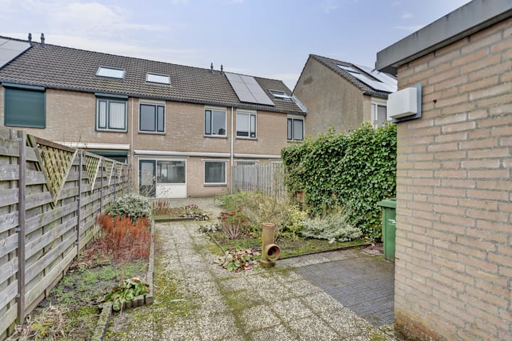 Foto 4 van Theeroos 49