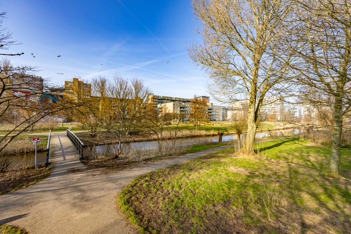 Photo 29 of Lyonnetstraat 117